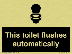 This toilet flushes automatically